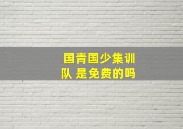 国青国少集训队 是免费的吗